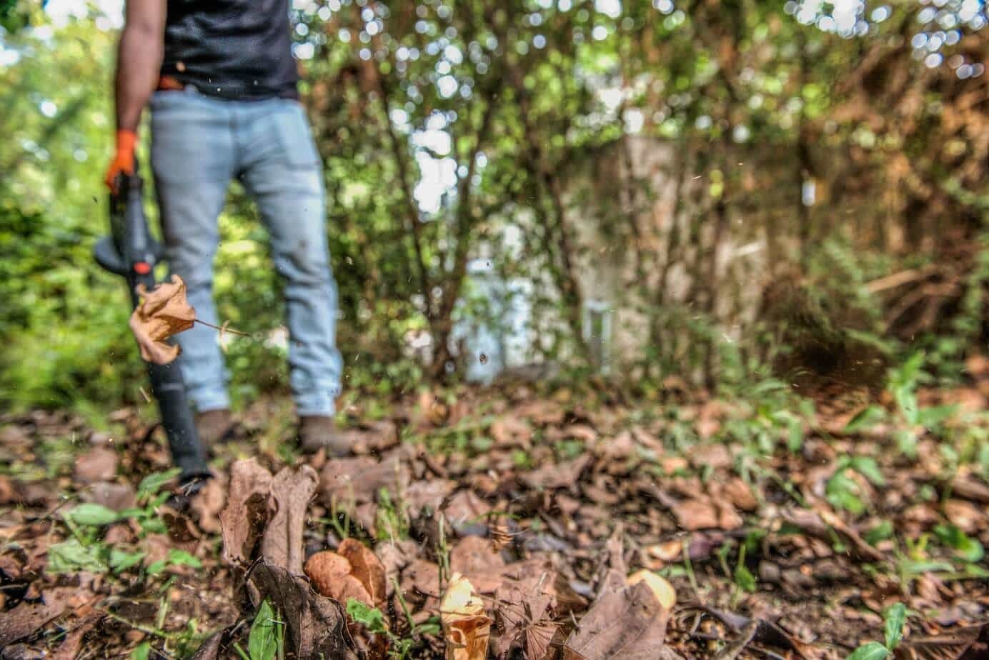 18V מפוח עלים נטען – תמונה 4